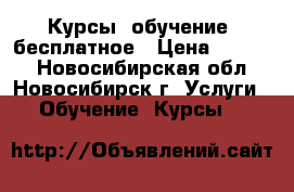 Курсы, обучение, бесплатное › Цена ­ 3 999 - Новосибирская обл., Новосибирск г. Услуги » Обучение. Курсы   